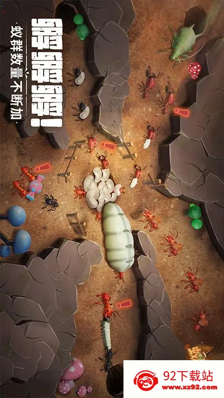 蚁族崛起(蚁族策略游戏)v1.1049.0 免费版截图