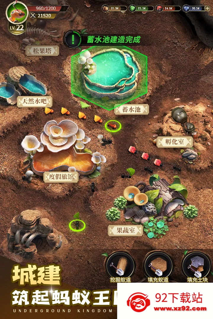 小小蚁国(蚂蚁策略游戏)v3.70.0 免费版截图