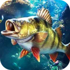 ���ֵ����ʦ��׿���ֻ���v1.0.0.206127 �ٷ�����