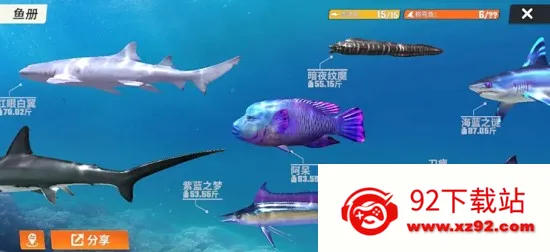 ���ֵ����ʦ��׿���ֻ���