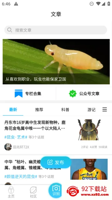 昆虫百科(昆虫知识平台) 昆虫百科(昆虫知识平台)