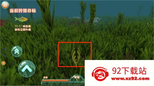 ����������(����������)