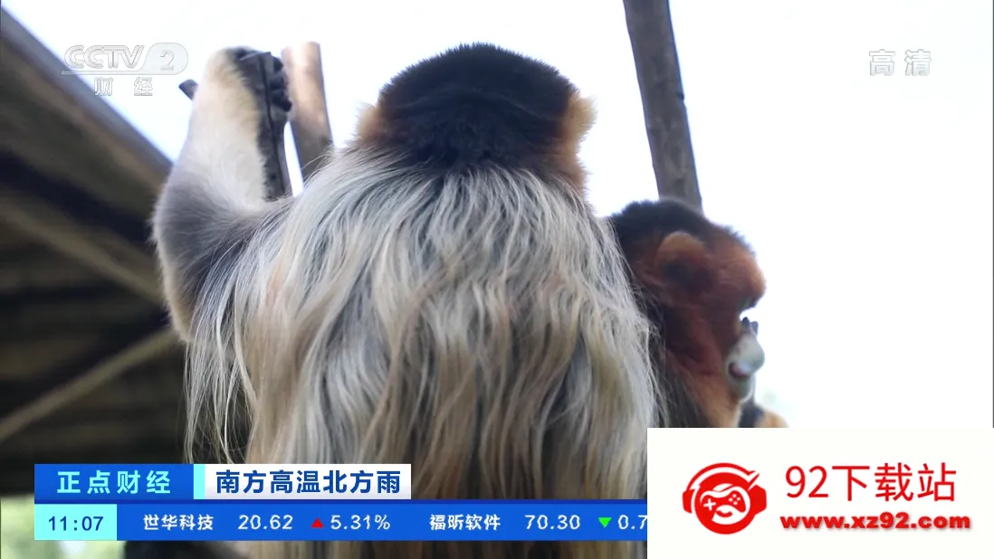 TVHub2025���°汾v10.1 �ֻ����ͼ
