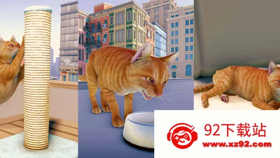 è�����ռǴ���2025���°汾v1.1 �ٷ������ͼ