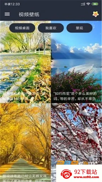 安果视频壁纸2025最新版本 安果视频壁纸2025最新版本