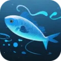 ���㳱ϫ��(��ϫ������ѯ)v1.1.3 �ٷ�����