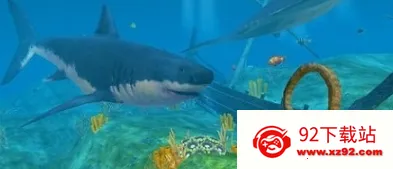 ľ��������2026���ذ�װ