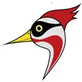 ��ҽ��2026�ٷ�����v1.0 �ٷ�����