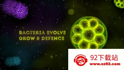 ΢��������