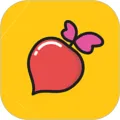 ��Ƭ������v1.1.6 �ٷ�����