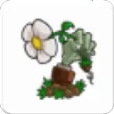 ֲ���ս��ʬ��С��֮��v1.01 ��Ѱ�