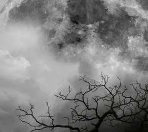 �����ù�v1.0.0 �ٷ�����