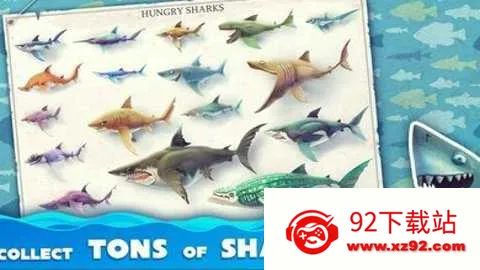 �����������ƽ������v6.5.10 �ٷ������ͼ