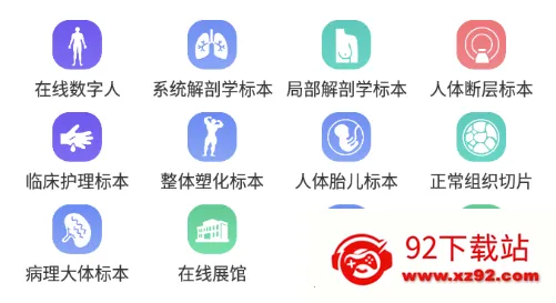 医维度解剖2026官方正版 医维度解剖2026官方正版