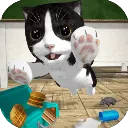 catsimulatorè��ģ����v1.0.0 ��Ѱ�