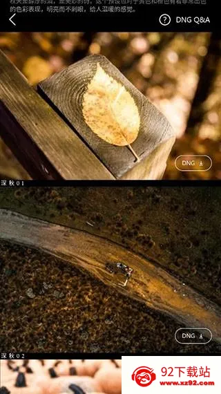 �˾���lr��ɫ��ʦ