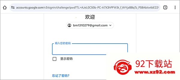 谷歌浏览器 谷歌浏览器