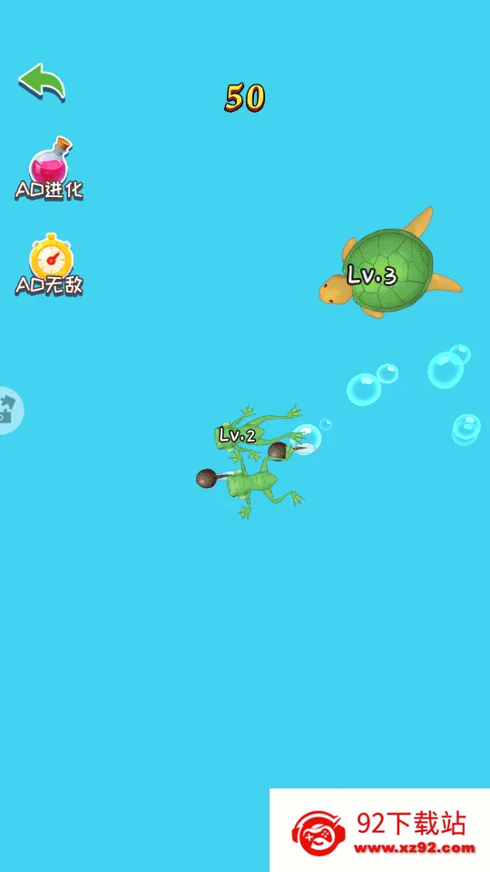 ��Ҫ��������