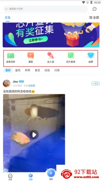 龙巅 龙巅
