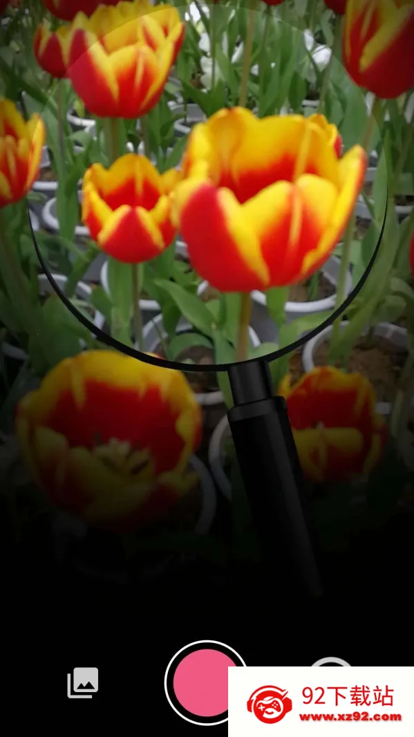 ����һ��2026�ٷ����°汾v1.0 �ֻ����ͼ