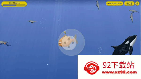 ��ζ��������2026�ٷ����°汾