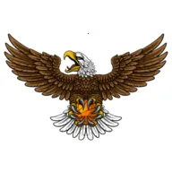 ��ӥTV(Ӱ�Ӿ粥��ƽ̨)v8.7 ��׿��