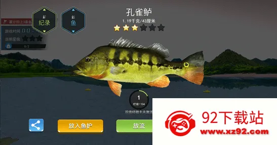 �����ʦ���ƽ��