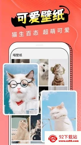 Cat Translation2026�ٷ�����v3.1.5 �ٷ������ͼ