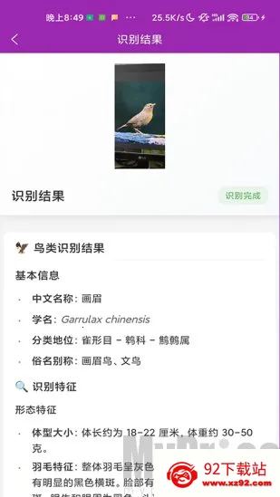 识鸟2026下载安装 识鸟2026下载安装