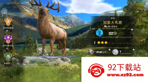 ���Գ�ͻ���İ��������