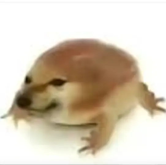 �ҵĵ������ư�(������ع���)v1.0 �ֻ����ͼ