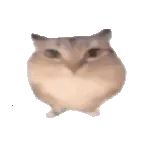�ͰͲ�һ(�ͰͲ�һƽ̨)v1.0 ��׿��