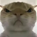 �������ж����󹤾�(�������ж�����)v1.0 ��׿��