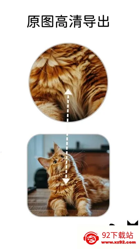 Сè�߿�2026�ٷ�����v1.1.1 �ֻ����ͼ