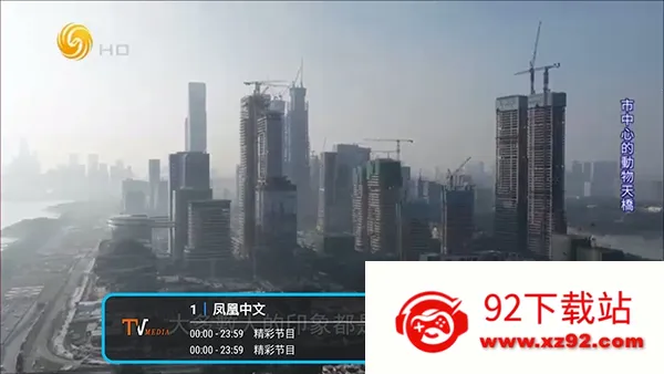 �͵�TV����(����ֱ������)v1.7.6.6_20251125_1958 ��Ѱ��ͼ