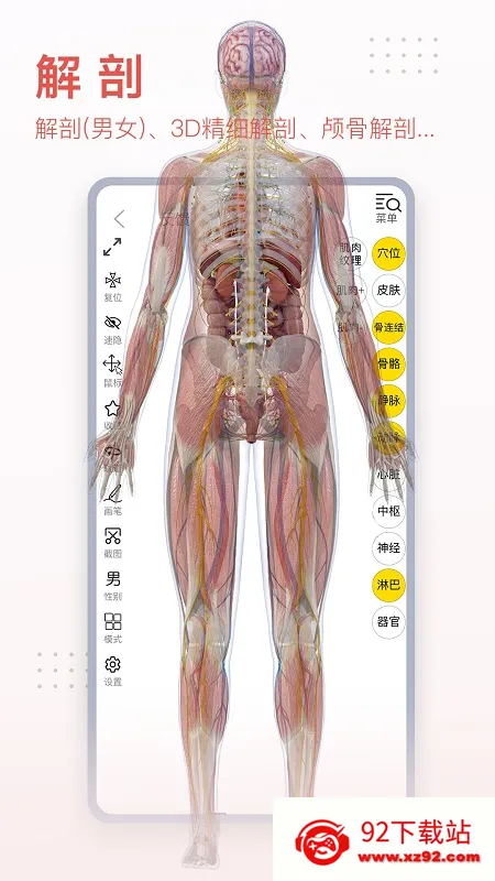 3dbody������������v8.8.91 �ֻ����ͼ