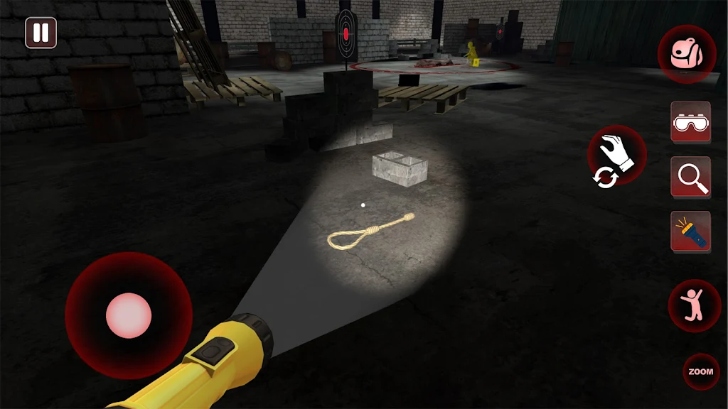 �ֳ���֤�Ѽ�ʦ(��������ģ����Ϸ)v1.1 �ٷ������ͼ