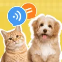 è�����ｻ������(������������Ӧ��)v1.0.2 �ٷ�����