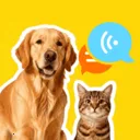 �ȳ�è����ѷ���(���ﻥ��Ӧ��)v1.0.2 �ֻ���