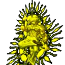 ȭ��97(����Ϸ)v1.74 ��Ѱ�