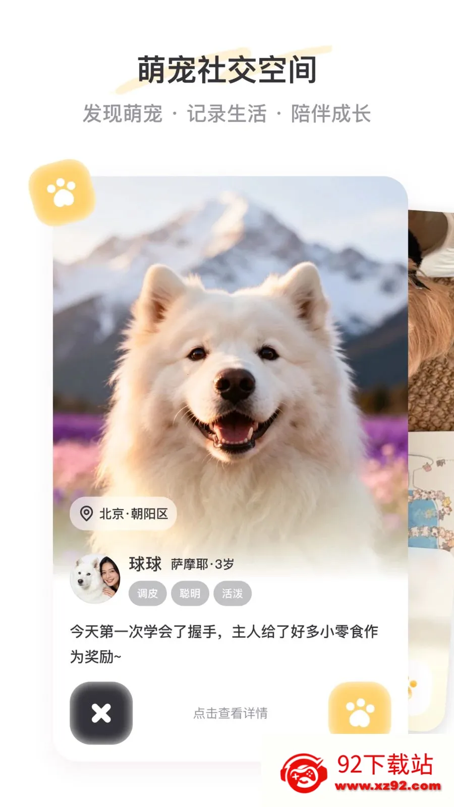 PetSpace2026�ٷ�����v1.0 ��Ѱ��ͼ