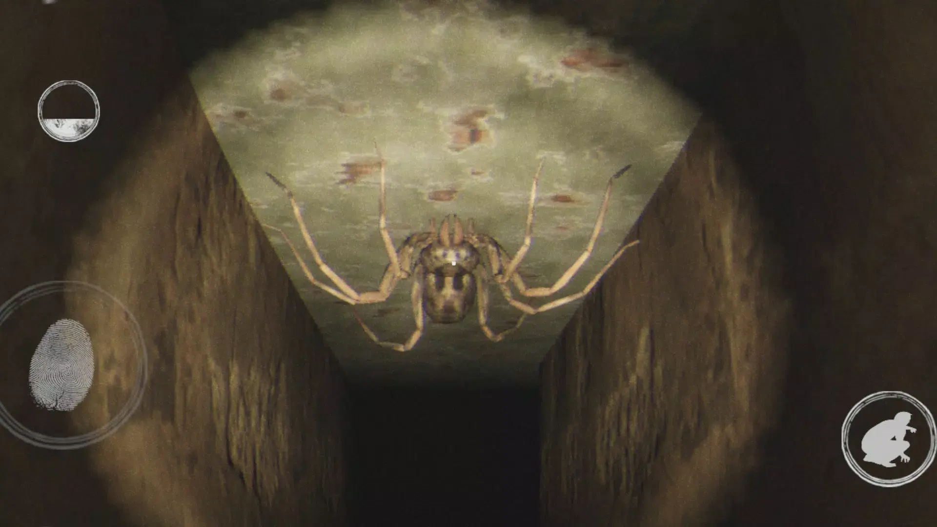 ����ʵ��ֲ���Ϸȥ��氲׿���ֻ���v1.4 �ٷ������ͼ