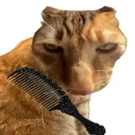 ��è��ë2026�ٷ����°汾v1.0 �ٷ�����