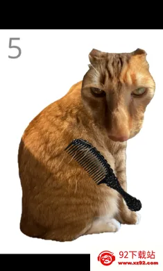 ��è��ë2026�ٷ����°汾v1.0 �ٷ������ͼ