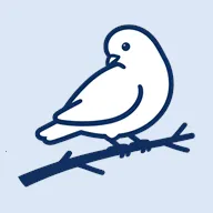 BB�ռ������Bվ(bbspace(��������������Ӧ��)v1.4.9 �ֻ���