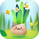 Little Commander 2(������������)v1.8.5 �ٷ�����