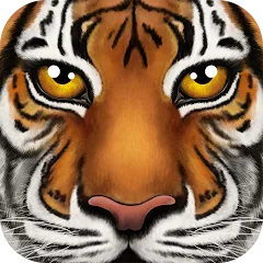 �ռ�����ģ����2026���°汾v1.2 ��׿��