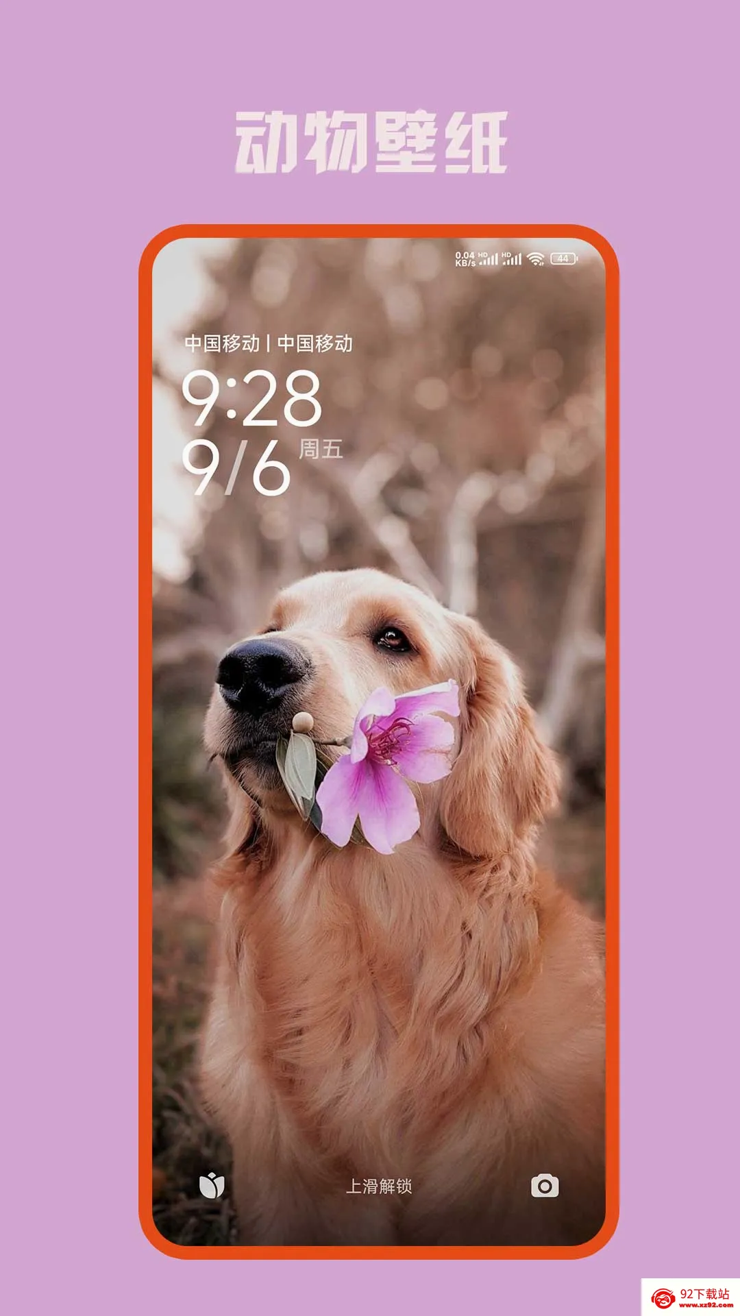 �ڴ���ѱ�ֽ�����ֻ���v10.0.803 �ֻ����ͼ