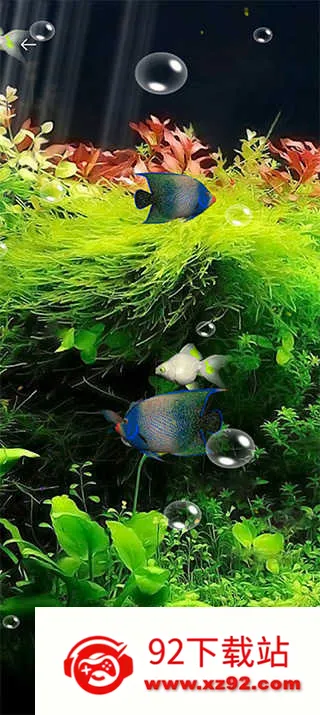 ˮ��ݶ�̬��ֽ��������(��̬��ֽ����)v5.3 �ٷ������ͼ