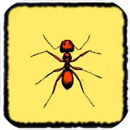 ��������2026�ٷ����°汾v1.0 �ֻ���